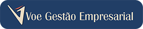 Logo Voe Gestão Empresarial